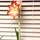 chris_p1
