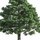 Linbergh's Tree Service Greensboro