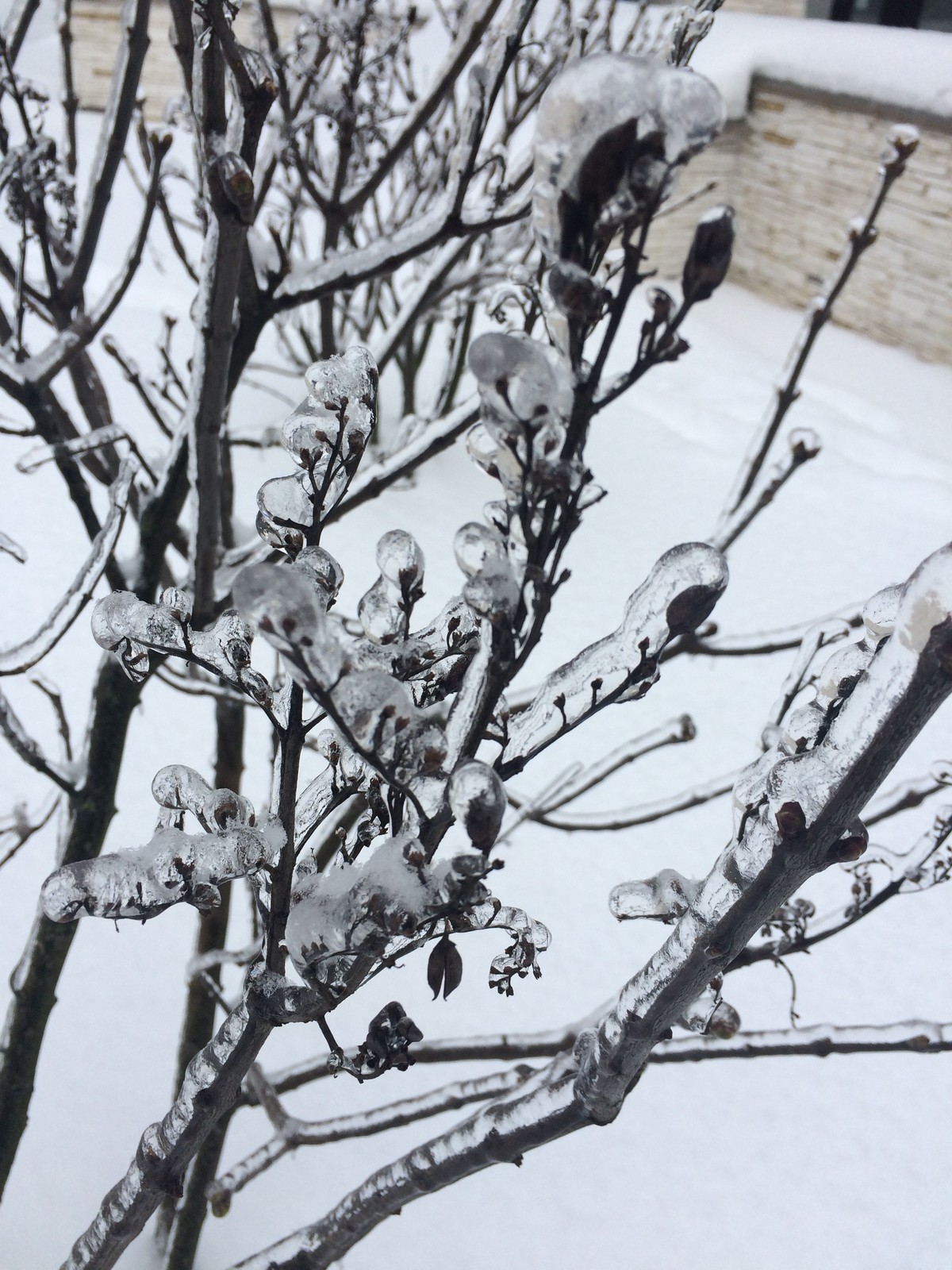 Зимний ландшафт