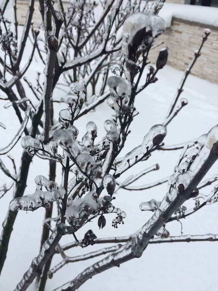 Зимний ландшафт