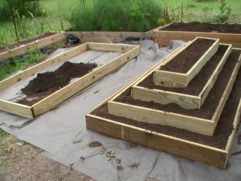 Raised strawberry bed shape