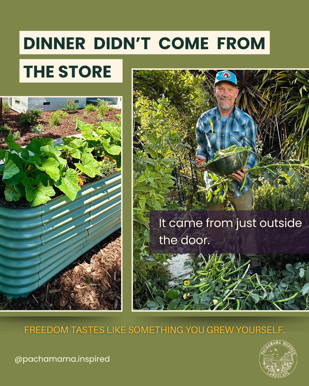 dinner didn't come from the store