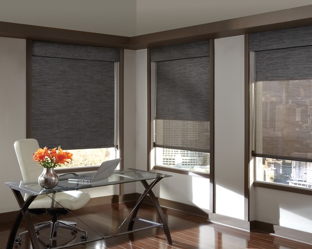 Designer Window Shades hunter douglas designer screen shades and window treatments Designer Window Shades hunter douglas designer screen shades and window treatments