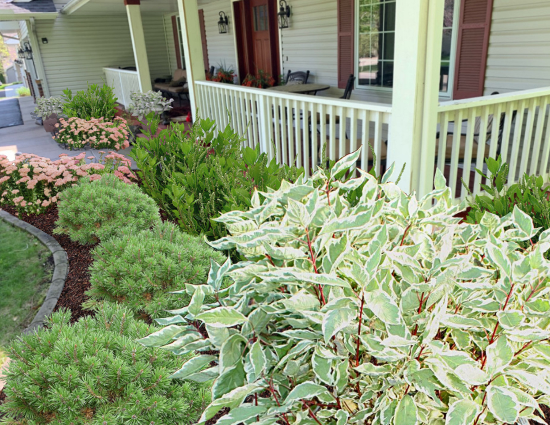 Foundation Plantings