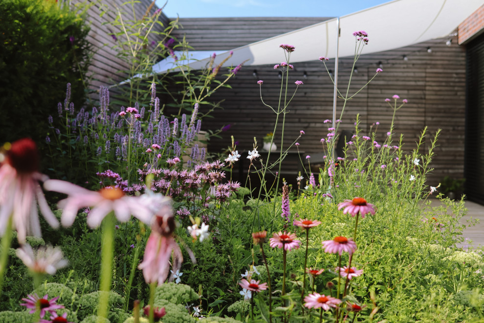Ispirazione per un giardino minimalista esposto in pieno sole in estate