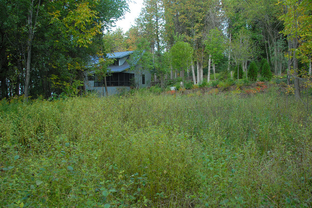 Cottage By The Lake Charlotte Vt Rustic Cabin And Meadow