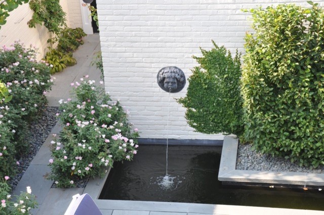 Georgetown Garden contemporary-garden
