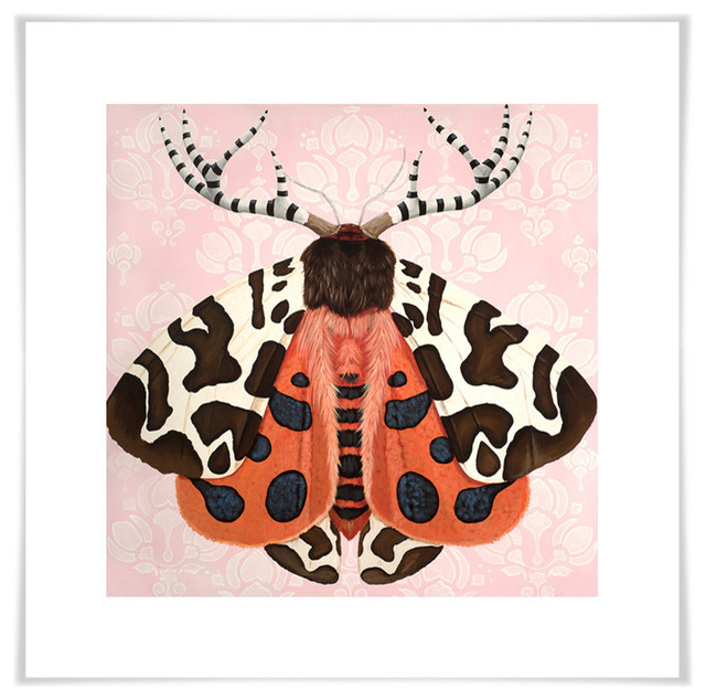 "Embellished Moth" Print by Heather Gauthier Art Eclectic Prints