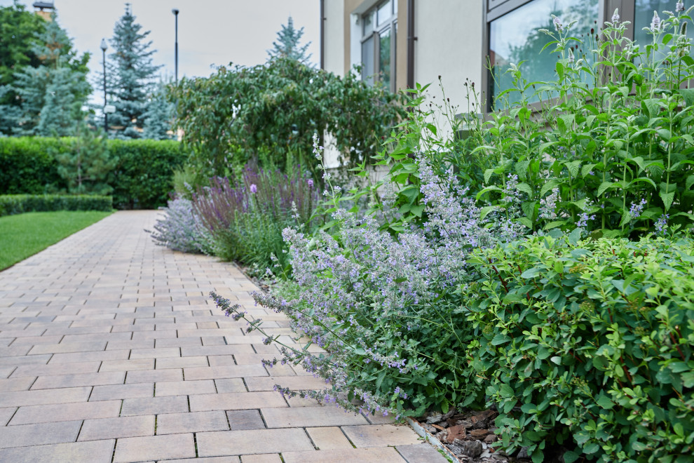 Проект "Современный сад"