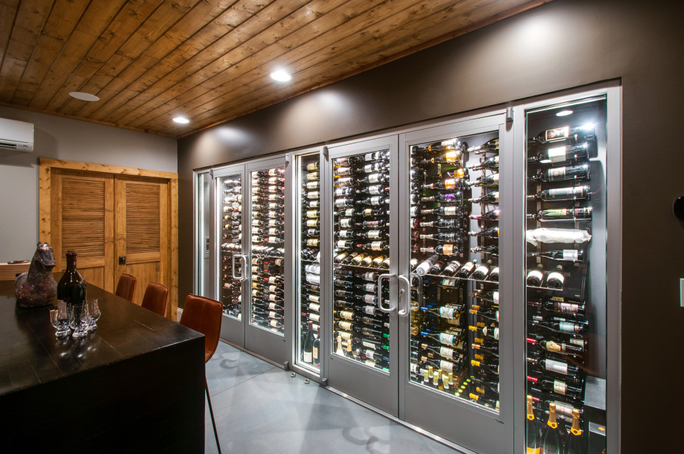 Basement contemporary wine cellar & tasting room