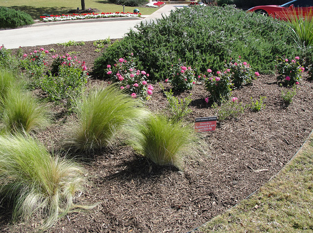 Gallery garden