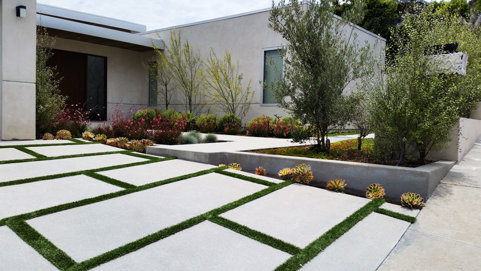 Mid-sized modern front yard full sun driveway in Los Angeles with a garden path and concrete pavers for summer.