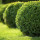 No Problem Landscaping Of Pasco Inc