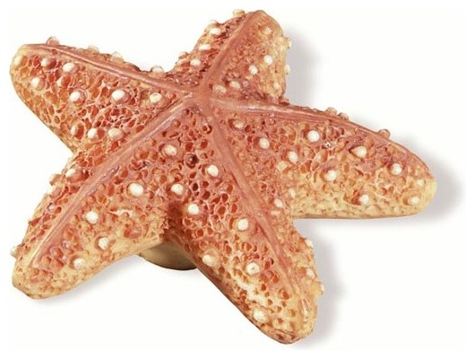 Coral Starfish Knob Sd67116 Beach Style Cabinet And Drawer