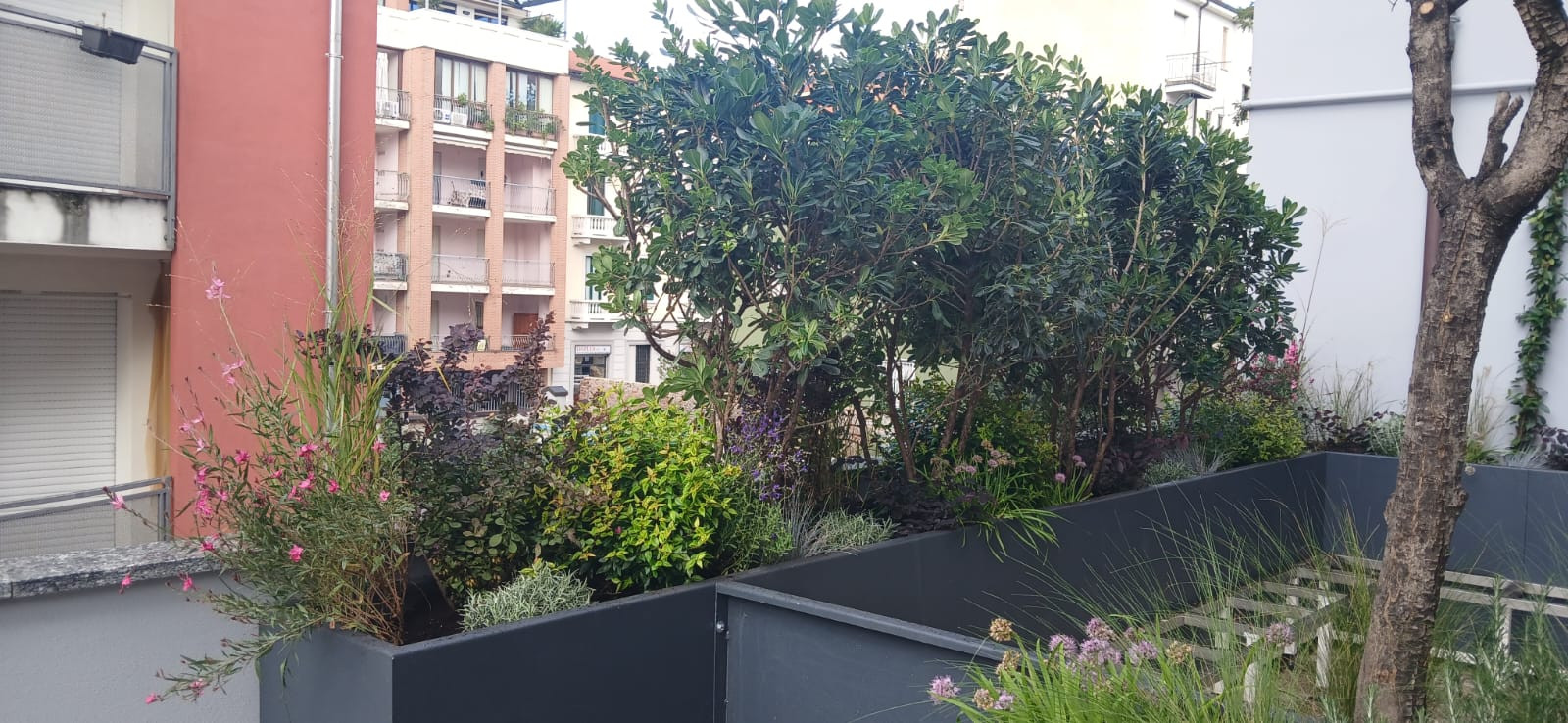 Realizzazione Terrazza dai sapori mediterranei