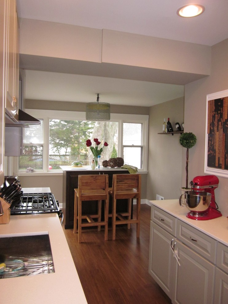 Kitchen - transitional kitchen idea in Chicago