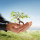 H & H Tree Services Inc.