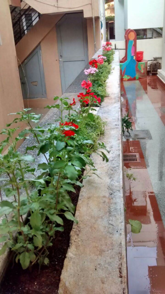 Photo of a garden in Bengaluru.