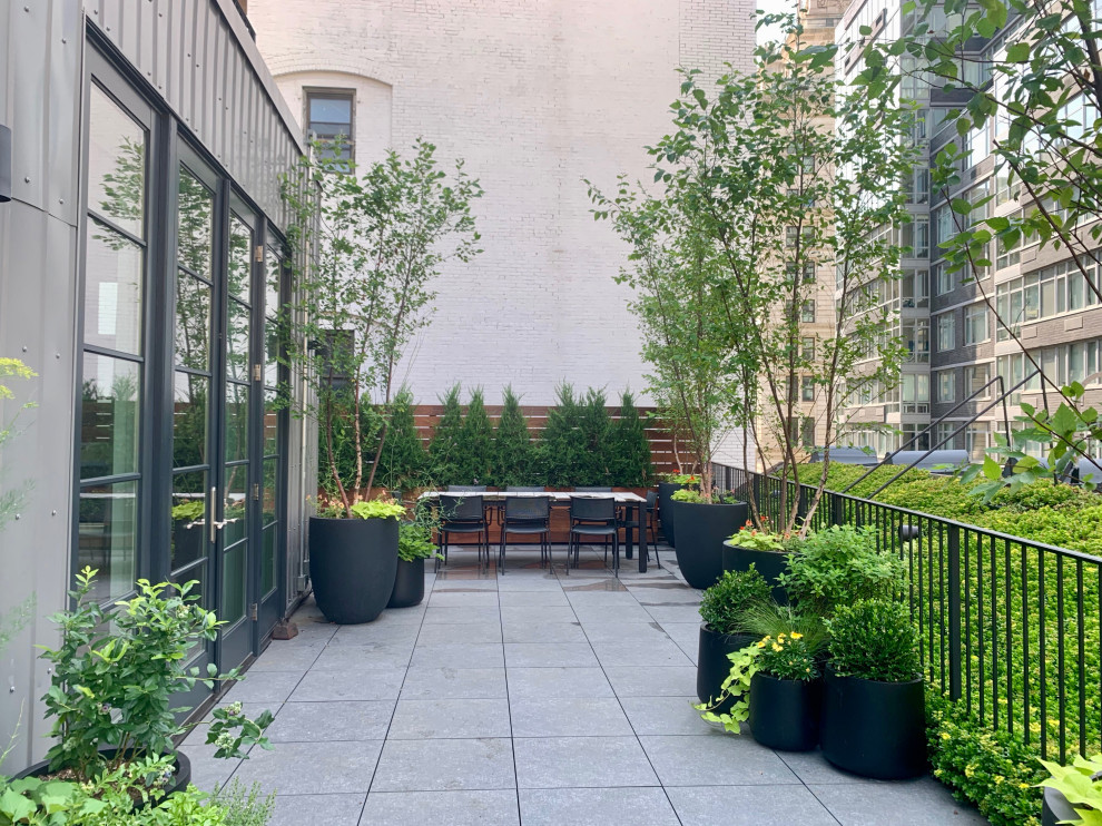 Photo of a contemporary rooftop garden in New York.