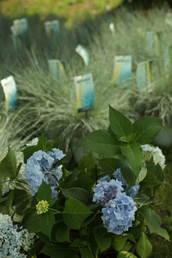 Балкон в экостиле