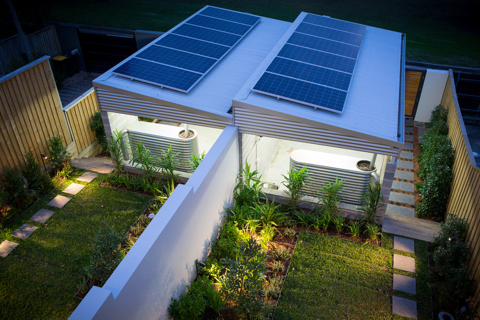 This is an example of a small modern backyard xeriscape in Sydney with a garden path.