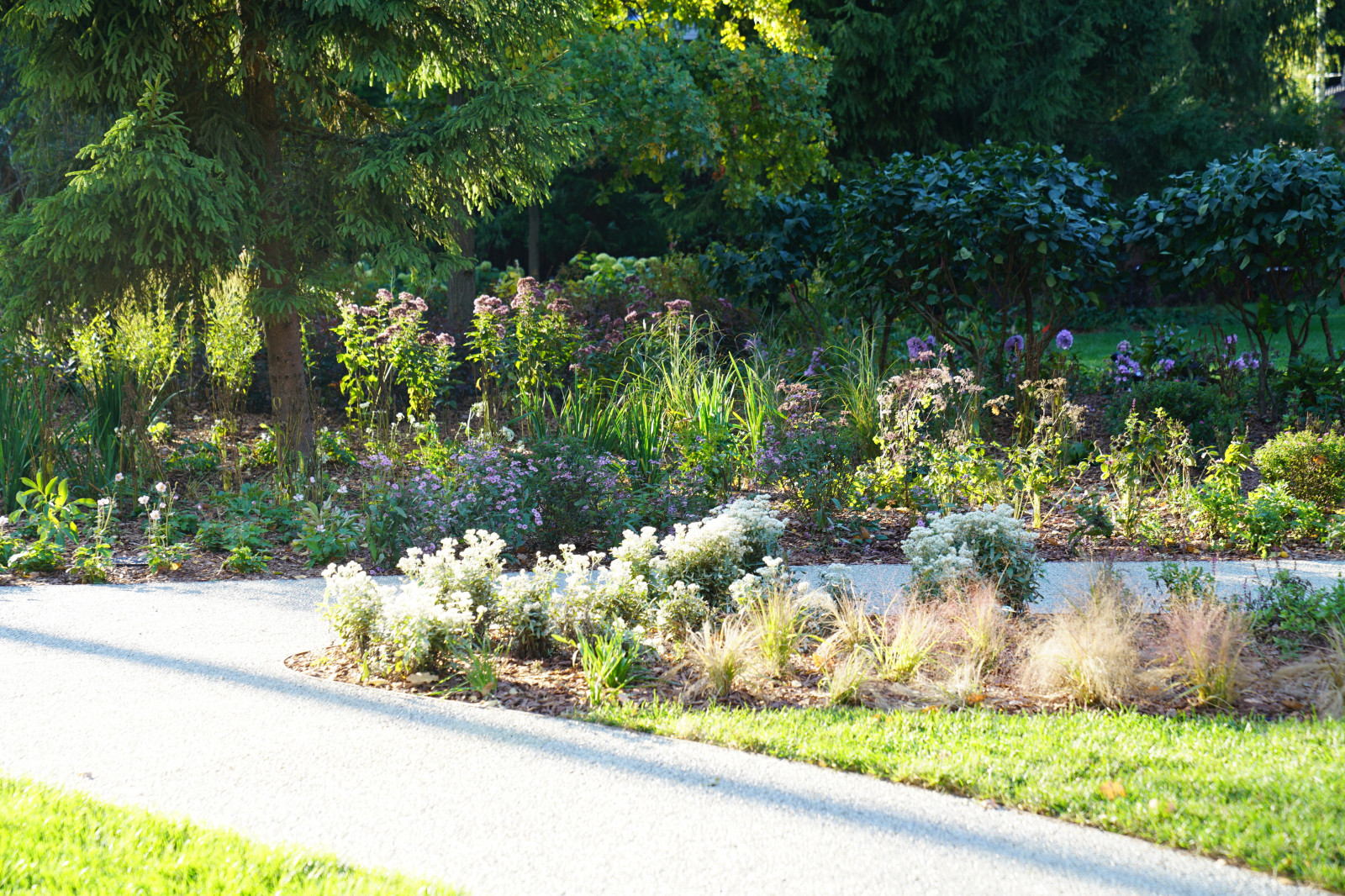 Круговорот  цвета. Дубровка 2021