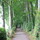 webuser_190412
