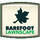 Barefoot Lawnscape Inc