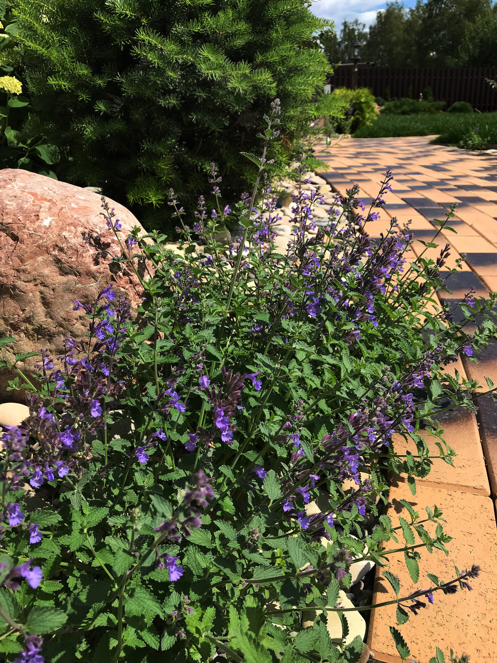 Покровское