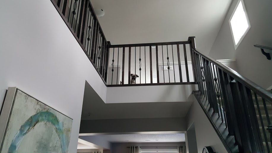 Example of a trendy staircase design in Calgary