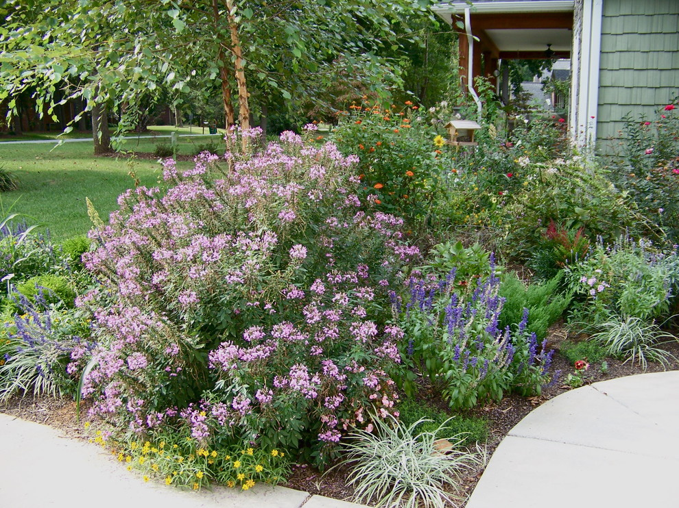 Cottage Gardens Eclectic Garden Other