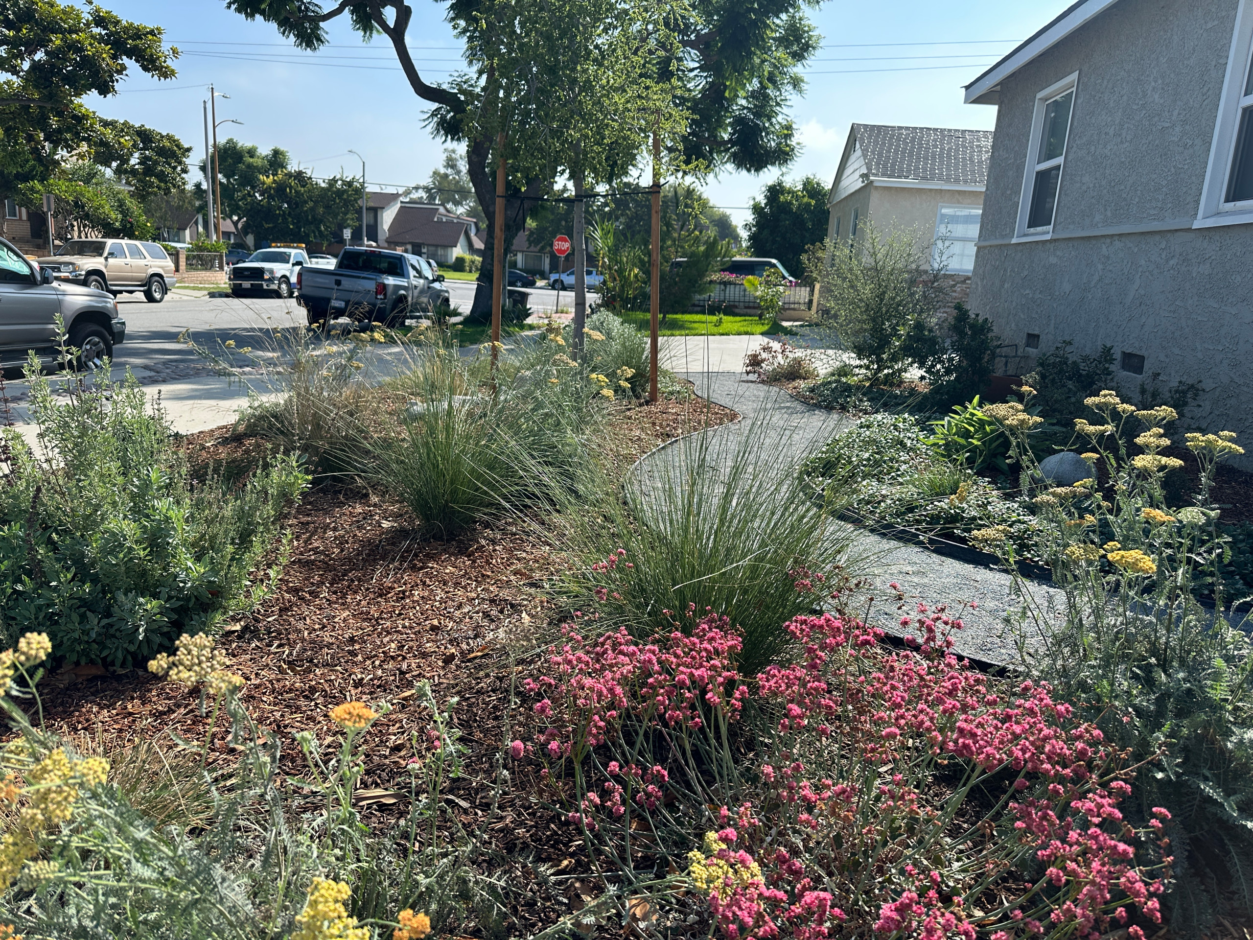 Food Forest & CA Native Plant Los Angeles Oasis