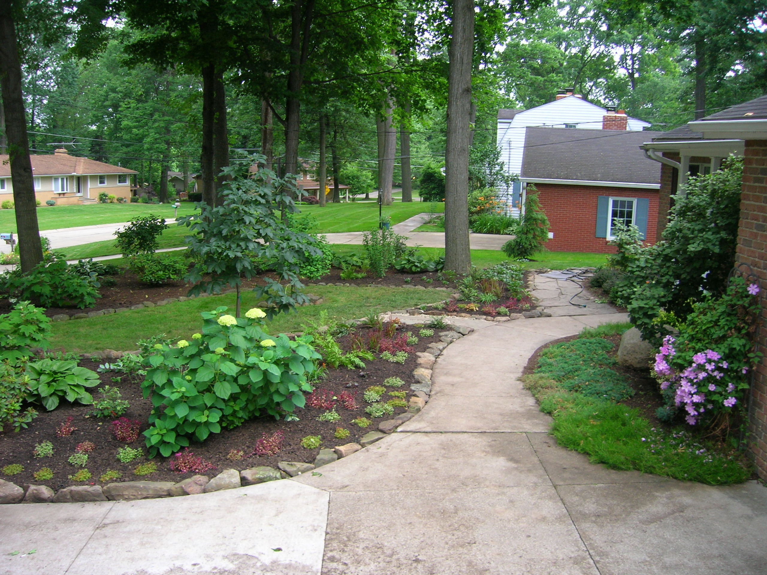 Front Entry Landscape