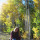 virginia_valcourt