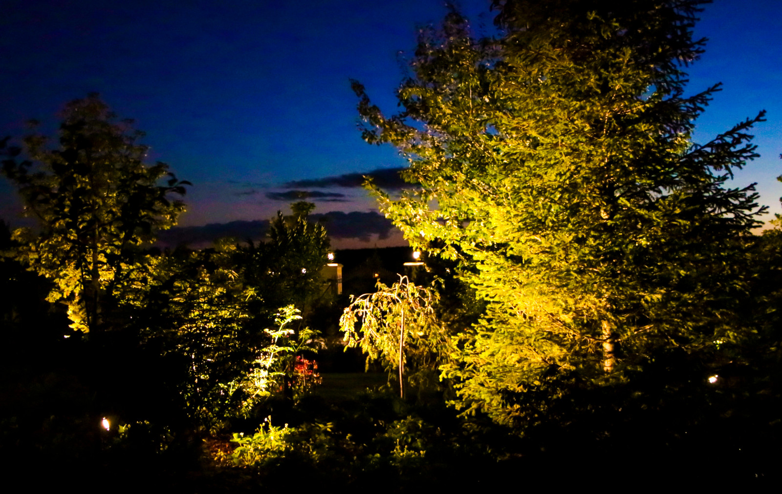 Горки-10, ночной сад, 2017-2020 гг.