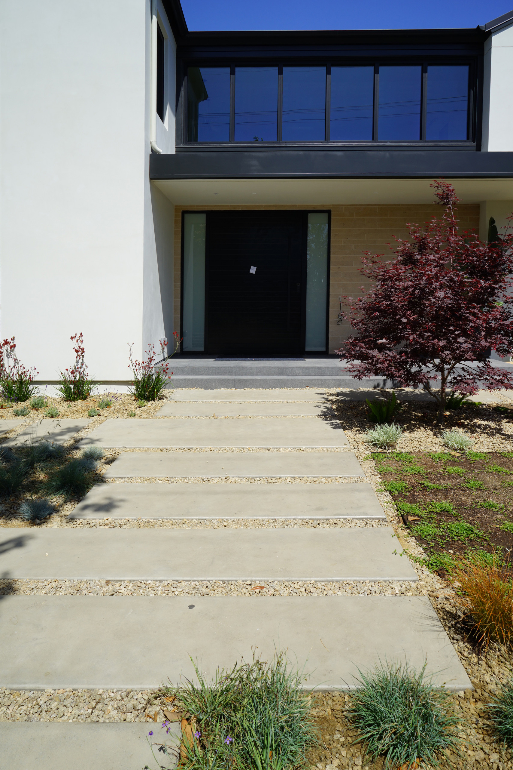 Palo Alto Mediterranean Landscape Front Yard