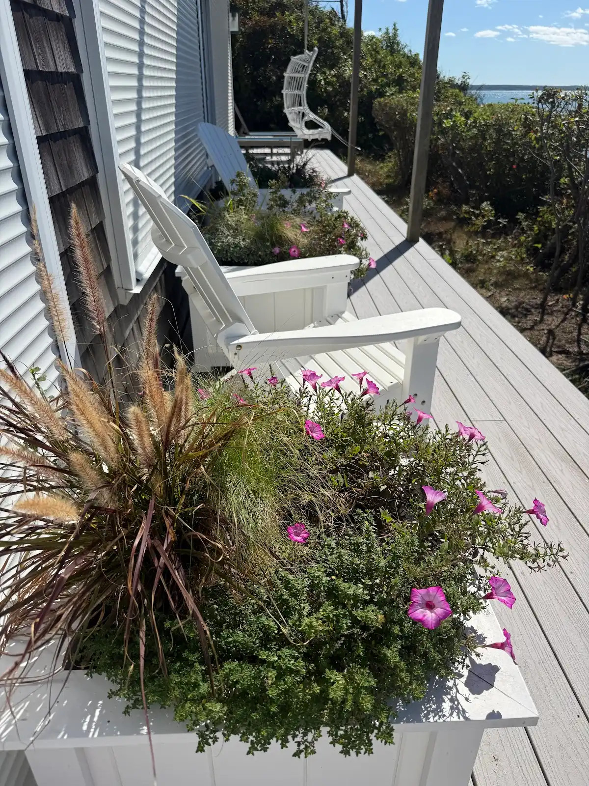 Beach Plumb Lane in Eastham