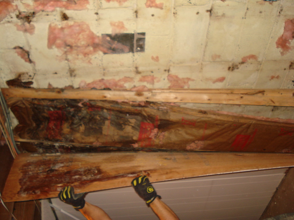 Basement Remodeling