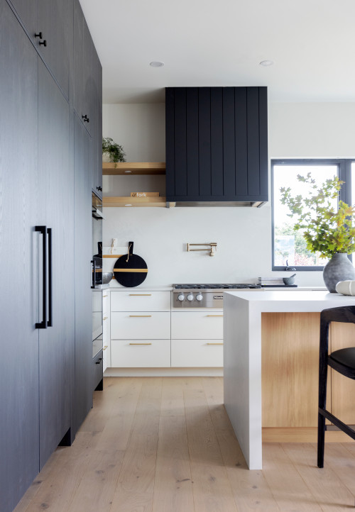 13+ Black and White Kitchen with Gold Hardware ( TIMELESS )