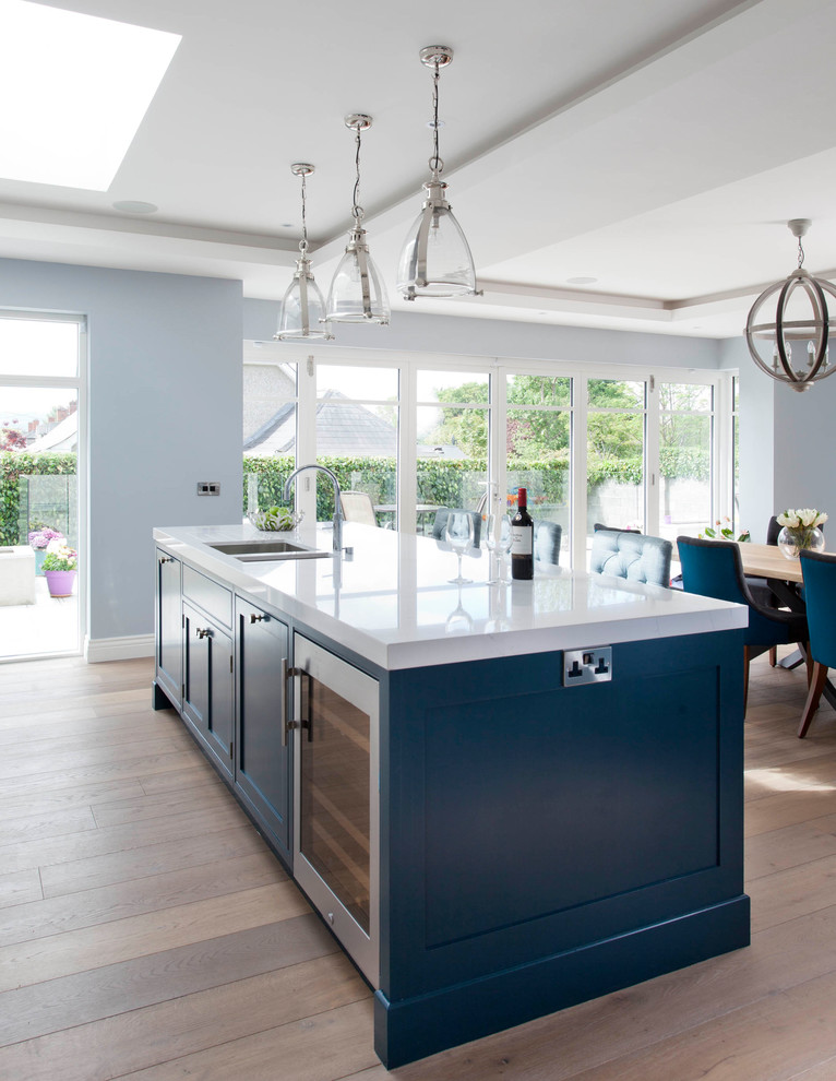 Kitchen - transitional kitchen idea in Dublin