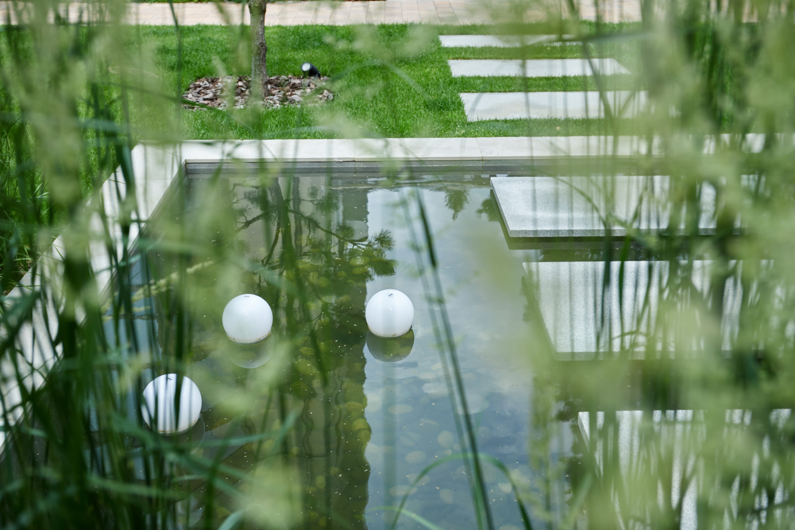 Водоем:Чистые линии