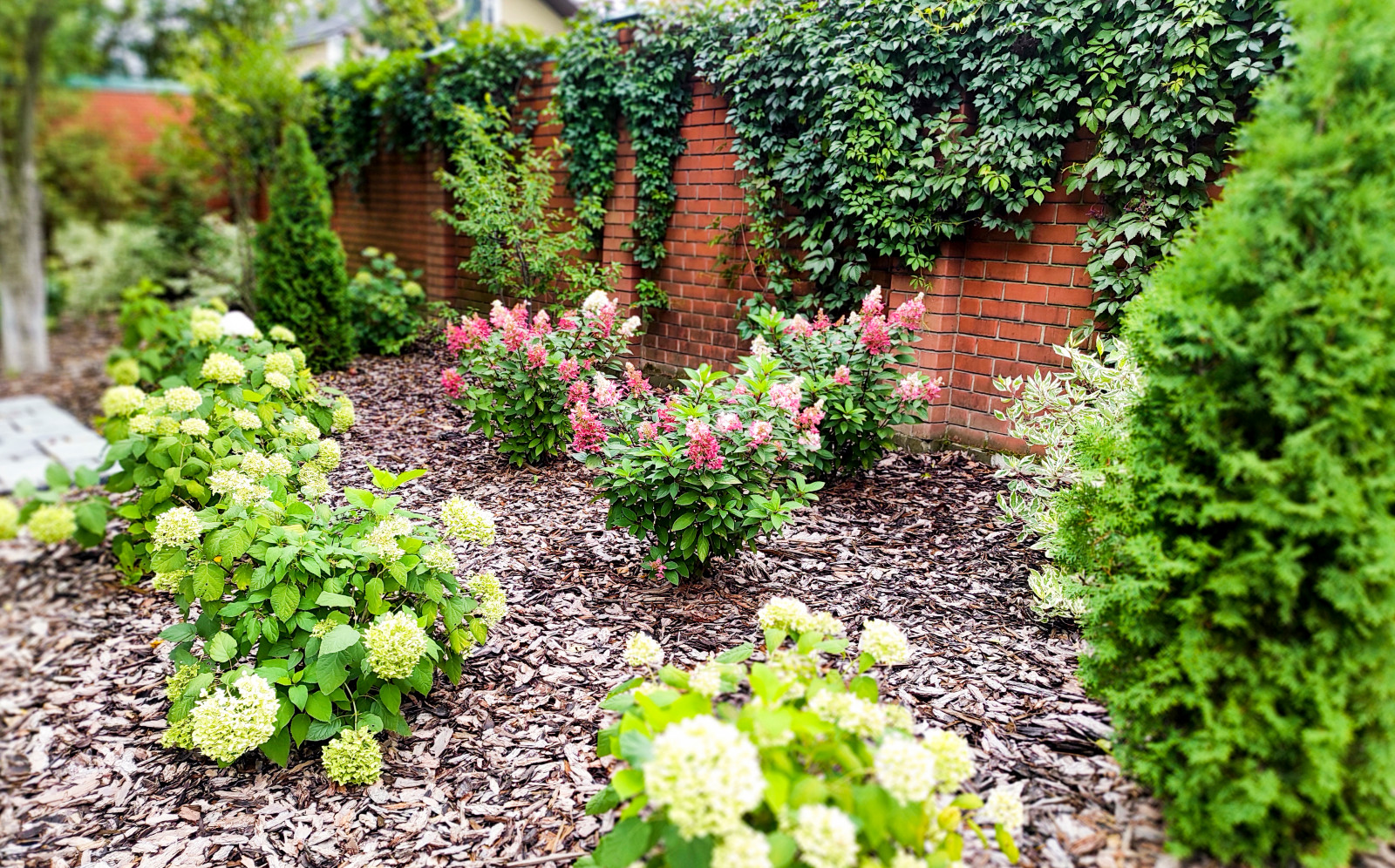 Долгопрудный, 2020 г.