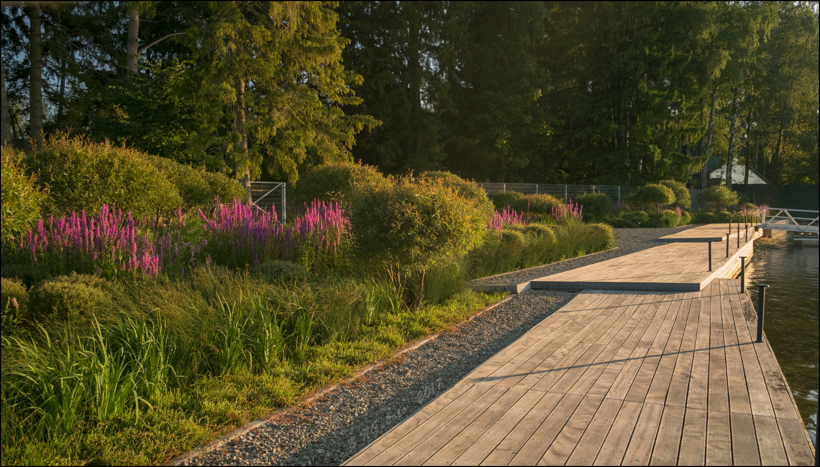 Сад на болоте.