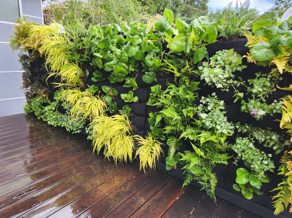 Vertical Garden Wall