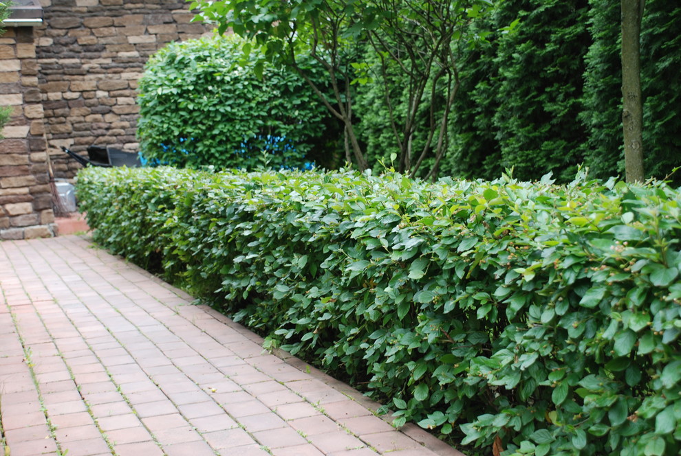 Небольшой сад на Рублевском шоссе