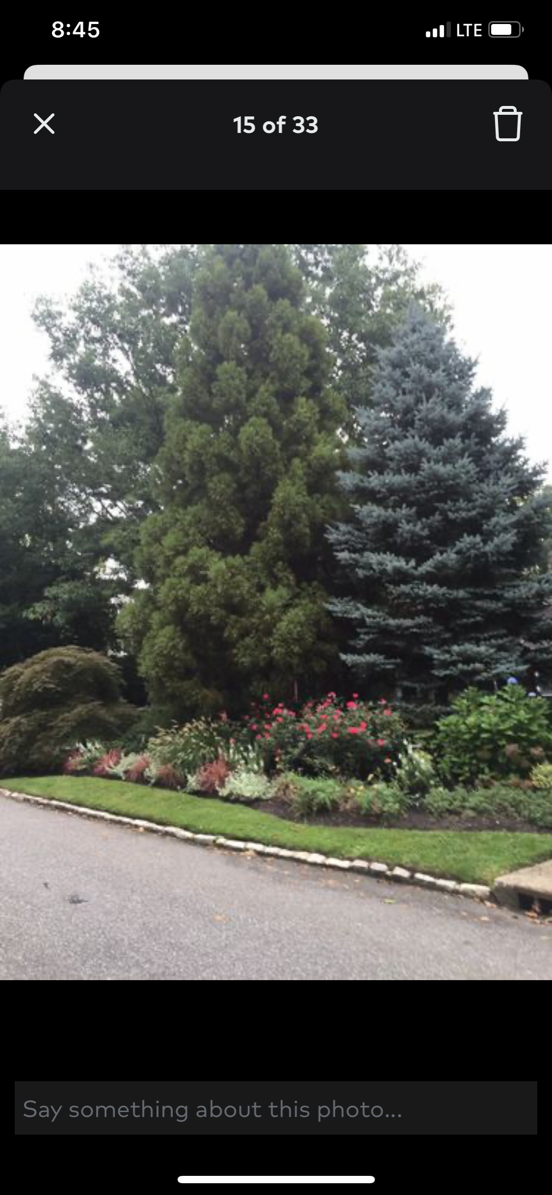 Landscaping projects