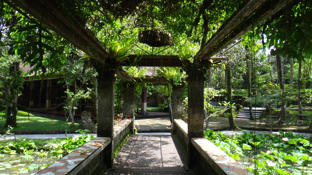 Architecte Paysagiste Antibes Tropical details favorites tropisch-garten