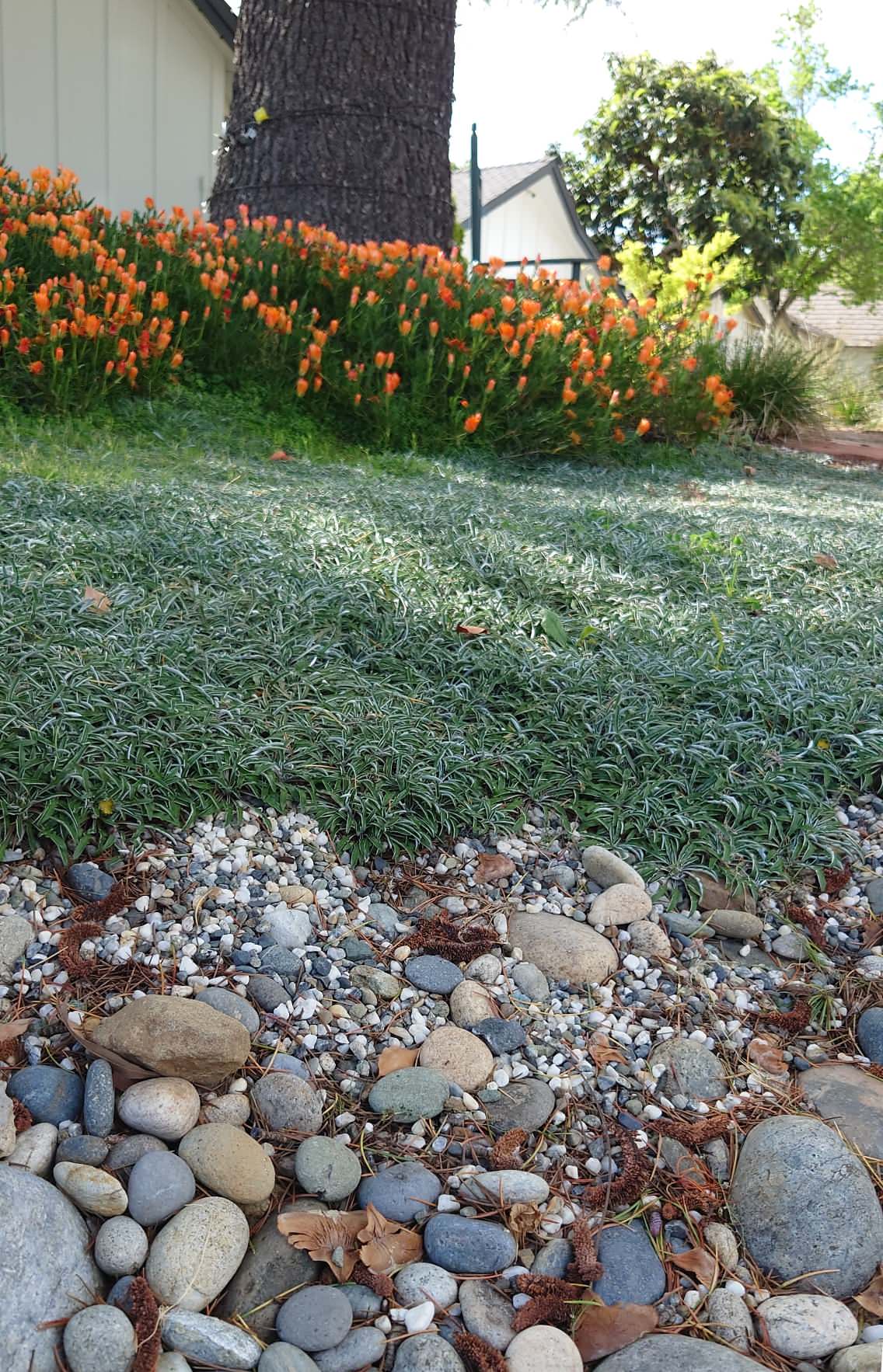 MODERN, MODERN, MODERN