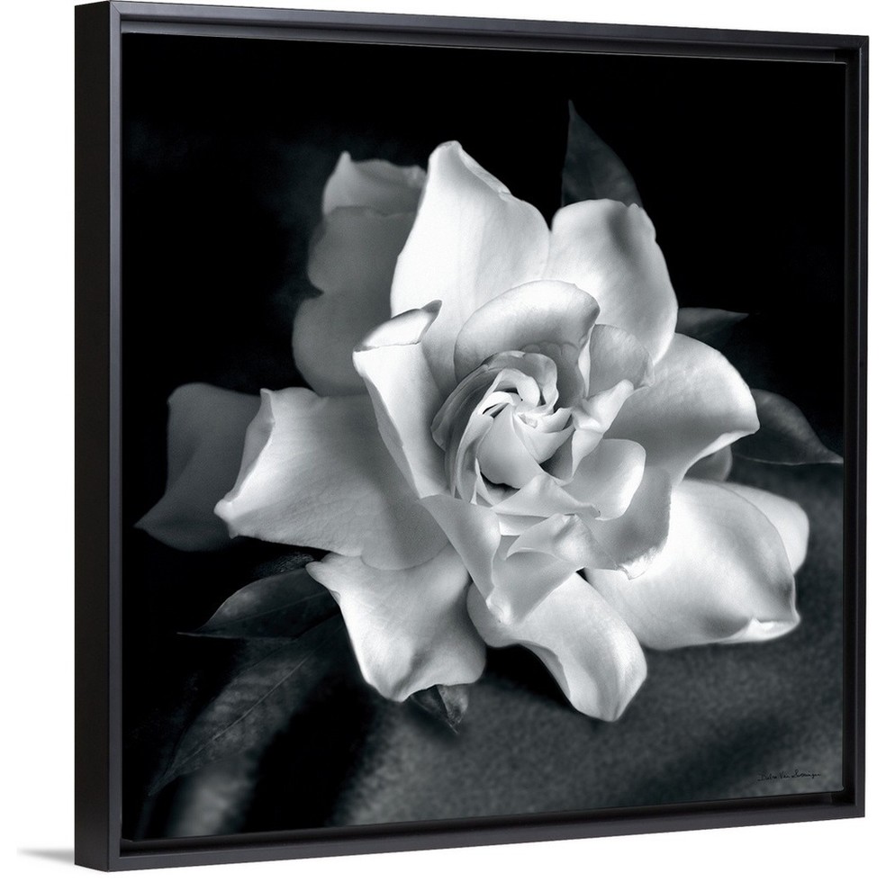 "Gardenia" Floating Frame Canvas Art, 22"x22" Contemporary Prints