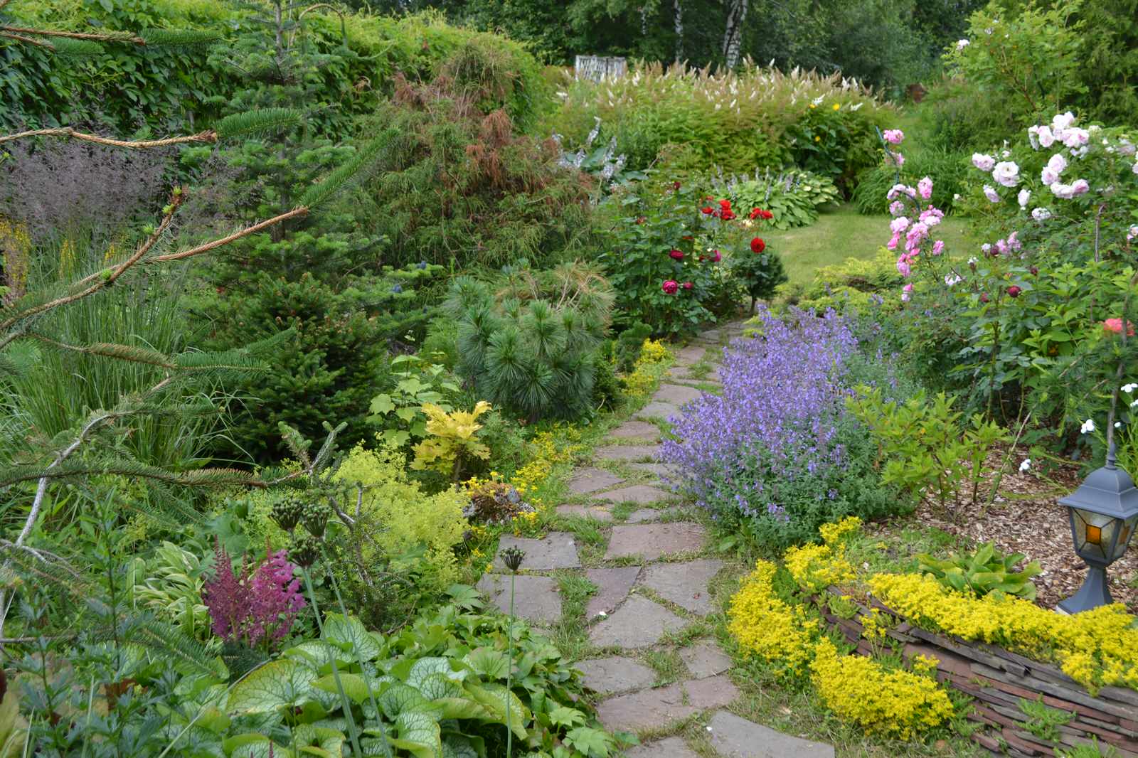 Сад  «Моя цветущая планета».